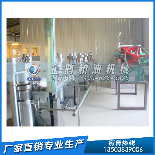 濃香菜籽油的加工，企鵝糧油機械自動溫控系統嚴格把控生產溫度