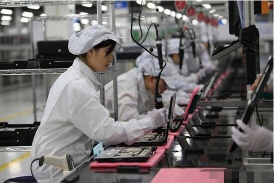 電子廠苦中作樂秘籍 上班養貓，快樂似神仙？