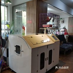 大連寵物電子寵物新體驗 聯系方式、價格與營業時間全指南
